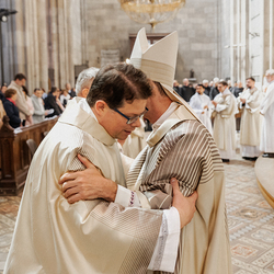 Diakonenweihe 2024 / Erzdiözese Wien/ Schönlaub