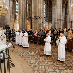 Diakonenweihe 2024 / Erzdiözese Wien/ Schönlaub