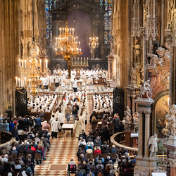 Chrisammesse 2025 / Erzdiözese Wien/ Schönlaub, Stephan Schönlaub