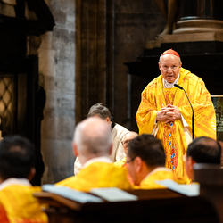 Priesterjubiläen / Erzdiözese Wien/ Schönlaub