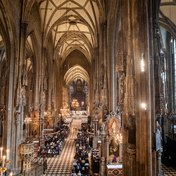Chrisammesse 2025 / Erzdiözese Wien/ Schönlaub, Stephan Schönlaub